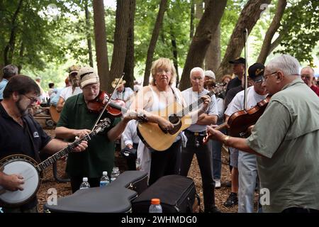 Les musiciens s'affrontent en groupes fluides sous les arbres au pique-nique Old Fiddlers Banque D'Images