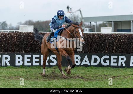 Quatrième course à Wincanton, le 2 mars 2022 Banque D'Images