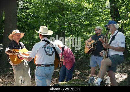 Les musiciens s'affrontent en groupes fluides sous les arbres au pique-nique Old Fiddlers Banque D'Images