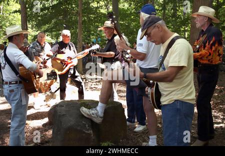 Les musiciens s'affrontent en groupes fluides sous les arbres au pique-nique Old Fiddlers Banque D'Images