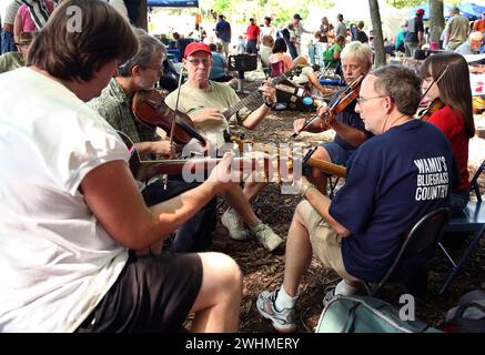 Les musiciens s'affrontent en groupes fluides sous les arbres au pique-nique Old Fiddlers Banque D'Images