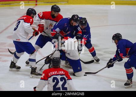 Cardiff, 10 février 2024. Action du match entre la Serbie et la Grande-Bretagne dans le tournoi de qualification olympique de hockey sur glace au Vindico Arena, Cardiff. Crédit : Colin Edwards/Alamy Live News. Banque D'Images