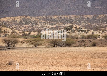 Paysage désertique très aride au lac Natron en Tanzanie, en Afrique Banque D'Images