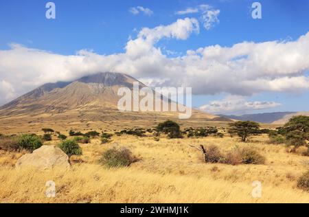 Ol Doinyo Lengai montagne dans la savane de Tanzanie, Afrique Banque D'Images