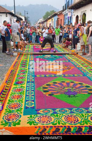 Antigua, Guatemala. Semana Santa, semaine Sainte. Les spectateurs regardent les artistes apporter la touche finale à une alfombra (tapis) de sciure de bois colorée à décorer Banque D'Images