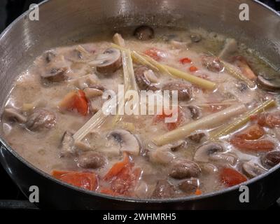 Soupe thaïlandaise Tom Kha de style végétarien mijotant dans une casserole, avec lait de coco crémeux, champignons salés, tomates acidulées et citronnelle aromatique. Banque D'Images