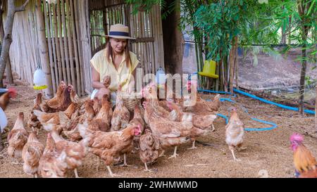 Femmes asiatiques cueillant des œufs dans une ferme écologique en Thaïlande Banque D'Images