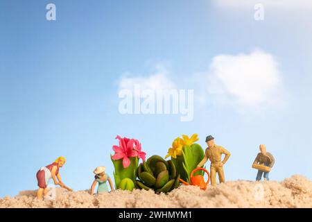 Jardinier de personnes miniatures travaillant sur des plantes de cactus Banque D'Images