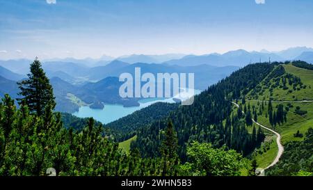 Vue sur le Walchensee depuis le Herzogstand Banque D'Images