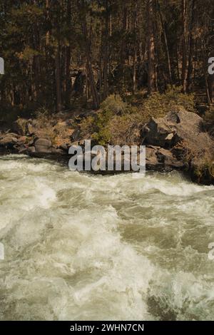 C'est la rivière Deschutes. J'ai pris cette photo depuis le sentier de la rivière Deschutes à Bend, Oregon. Banque D'Images