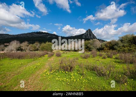 Puig de ses Bruixes de 355 mts Banque D'Images