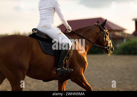 Femme cavalier jockey dans le casque et uniforme blanc préparant les courses de chevaux. Banque D'Images