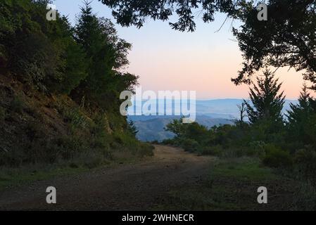 La vue sur la baie de San Francisco depuis le sentier de randonnée. Banque D'Images