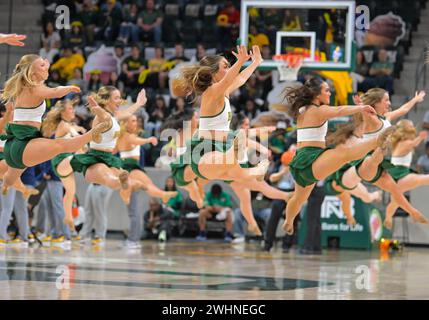 Waco, Texas, États-Unis. 10 février 2024. Les meneurs de pom-pom Baylor Lady Bears jouent pendant la deuxième moitié du match de basket-ball de la NCAA entre les West Virginia Mountaineers et les Baylor Lady Bears au Foster Pavilion à Waco, au Texas. Matthew Lynch/CSM/Alamy Live News Banque D'Images