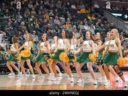 Waco, Texas, États-Unis. 10 février 2024. Baylor Lady Bears pom-meneurs pendant la première moitié du match de basket-ball de la NCAA entre les West Virginia Mountaineers et les Baylor Lady Bears au Foster Pavilion à Waco, Texas. Matthew Lynch/CSM/Alamy Live News Banque D'Images