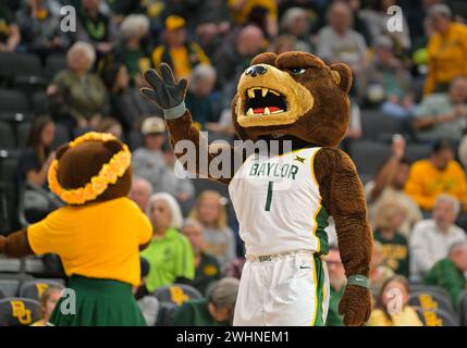 Waco, Texas, États-Unis. 10 février 2024. Les mascottes de Baylor Lady Bears pendant la première moitié du match de basket-ball de la NCAA entre les West Virginia Mountaineers et les Baylor Lady Bears au Foster Pavilion à Waco, Texas. Matthew Lynch/CSM/Alamy Live News Banque D'Images