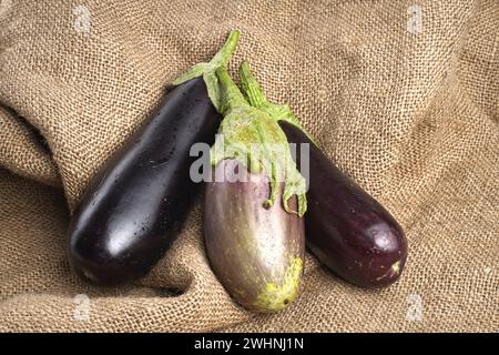 Grandes aubergines exposées sur toile de jute. Banque D'Images