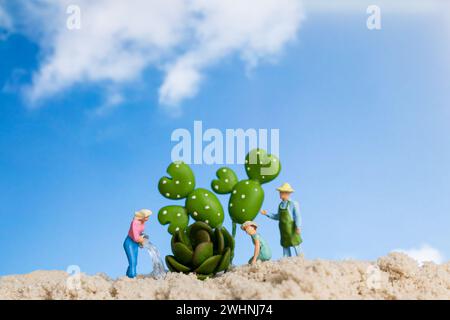 Jardinier de personnes miniatures travaillant sur des plantes de cactus Banque D'Images