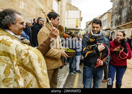 Bendicion de los animales de Sant Antoni Banque D'Images