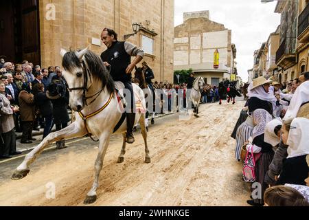 Bendicion de los animales de Sant Antoni Banque D'Images