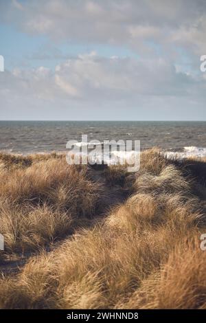 Marcher à travers les dunes danoises en hiver Banque D'Images