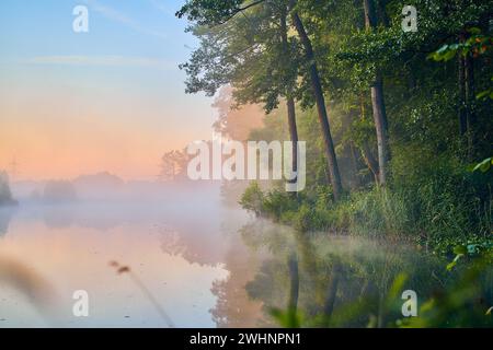 Brouillard matinal au-dessus du lac calme Banque D'Images