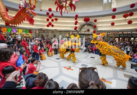 Richmond, Canada. 10 février 2024. Les gens regardent un spectacle de danse du lion dans un centre commercial pour célébrer le nouvel an lunaire chinois à Richmond, Colombie-Britannique, Canada, le 10 février 2024. Crédit : Liang Sen/Xinhua/Alamy Live News Banque D'Images