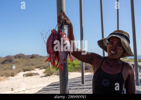 Île de Nosy VE, Madagascar. Femme tenant un bouquet de poissons rouges par leurs queues sur une plage de sable avec des arbustes et un ciel bleu. Banque D'Images