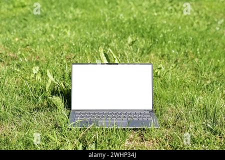 Ordinateur portable avec maquette d'écran blanc dans l'herbe sur une prairie, concept d'entreprise verte, mode de vie durable et écologistes Banque D'Images