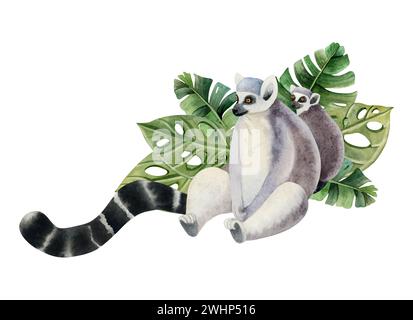 Mère lémurien avec un petit assis dans des feuilles de palmier tropicales illustration aquarelle. Singe femelle à queue annulaire avec bébé Banque D'Images