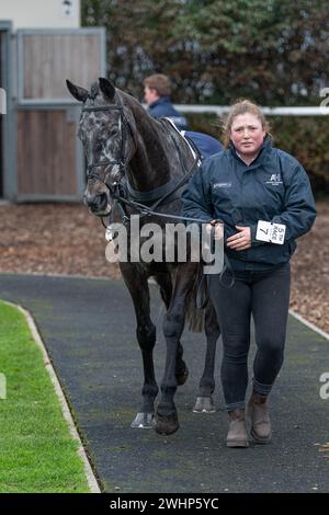 Cinquième course à Wincanton le 2 mars 2022 - handicap de Mares Banque D'Images