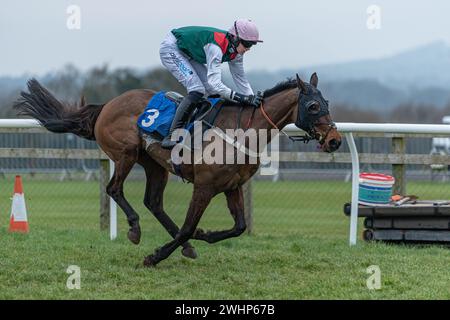 Cinquième course à Wincanton le 2 mars 2022 - handicap de Mares Banque D'Images