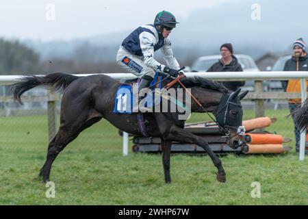 Cinquième course à Wincanton le 2 mars 2022 - handicap de Mares Banque D'Images