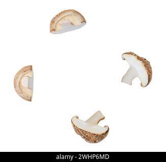 Vue de dessus ensemble de moitiés ou de tranches de champignons shiitake est isolé sur fond blanc avec chemin de détourage. Banque D'Images