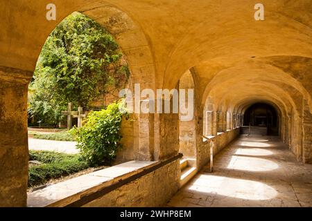 Cloître avec vue sur le rosier millénaire, équipé Cathédrale Marie, Hildesheim, Allemagne Banque D'Images