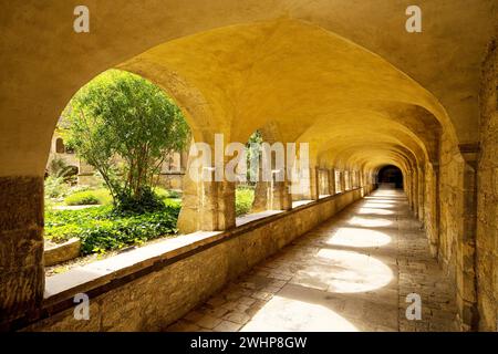 Cloître avec vue sur le rosier millénaire, équipé Cathédrale Marie, Hildesheim, Allemagne Banque D'Images