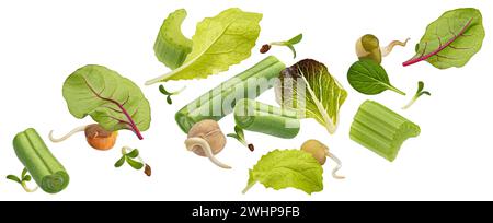 Salade végétarienne avec asperges et haricots germés isolés sur fond blanc Banque D'Images