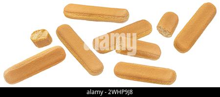 Chutes de biscuits savoiardi italiens, biscuits coccinelles isolés sur fond blanc Banque D'Images