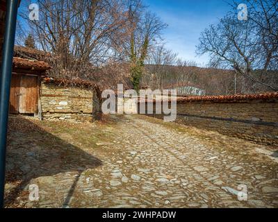 Zheravna, Bulgarie - route pavées étroites et rustique des maisons traditionnelles en pierre et bois avec bigroot géranium sanguin (Geranium macrorrhizum) le long e Banque D'Images