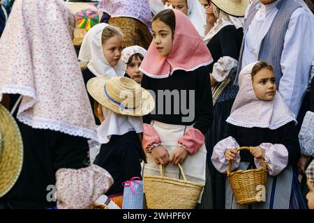 Bendicion de los animales de Sant Antoni Banque D'Images