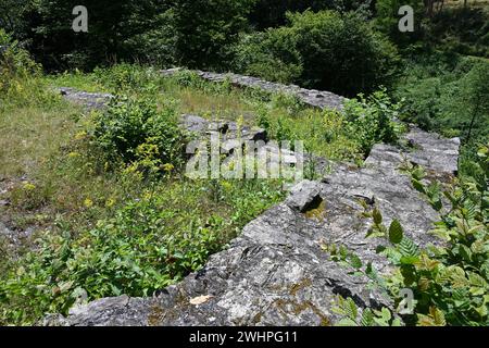 Ruine du château de l'église Gossam, Autriche Banque D'Images