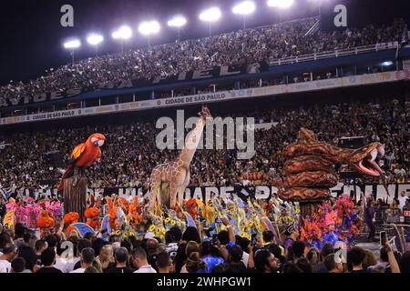 ao Paulo, Brésil, le 10 février 2024. Gavioes da Fiel parcourt au Sambadrome do Anhembi à Sao Paulo, Brésil, le 10 février 2024, dans le cadre des défilés spéciaux des écoles de samba de Sao Paulo. (Photo de Leandro Chemalle/Thenews2/NurPhoto) crédit : NurPhoto SRL/Alamy Live News Banque D'Images