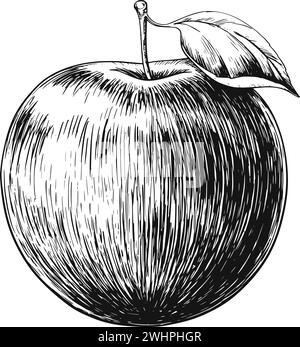 Illustration d'esquisse vectorielle vintage Apple Illustration de Vecteur