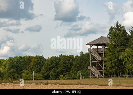 Paysage avec tour d'observation en bois sur la colline Dylewska Gora près de Wysoka Wies en Pologne Banque D'Images