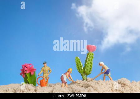 Jardinier de personnes miniatures travaillant sur des plantes de cactus Banque D'Images