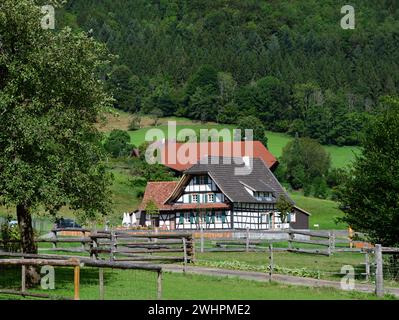 Ferme historique dans la Forêt Noire, Gutach, Baden - Wuerttemberg Banque D'Images
