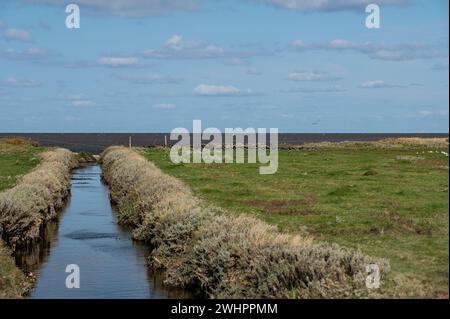 Sur la mer des Wadden Banque D'Images
