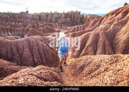 Formations rocheuses bizarres dans le désert de Tatacoa, Colombie Banque D'Images