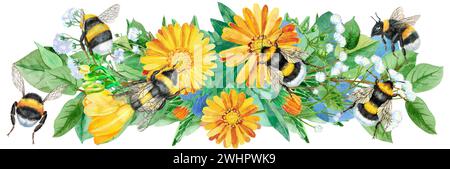 Bordure florale sans couture avec bourdons et fleurs de calendula sur fond blanc. Conception artistique pour impression florale pour emballage, textile, papier peint, Banque D'Images