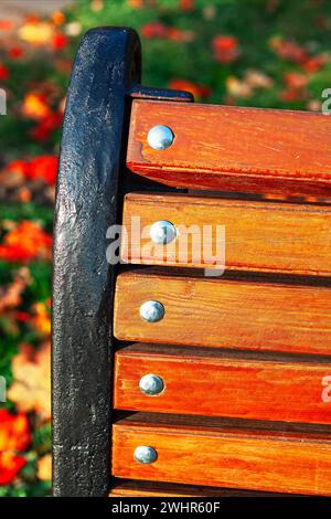 Détails du banc en bois dans le parc d'automne Banque D'Images